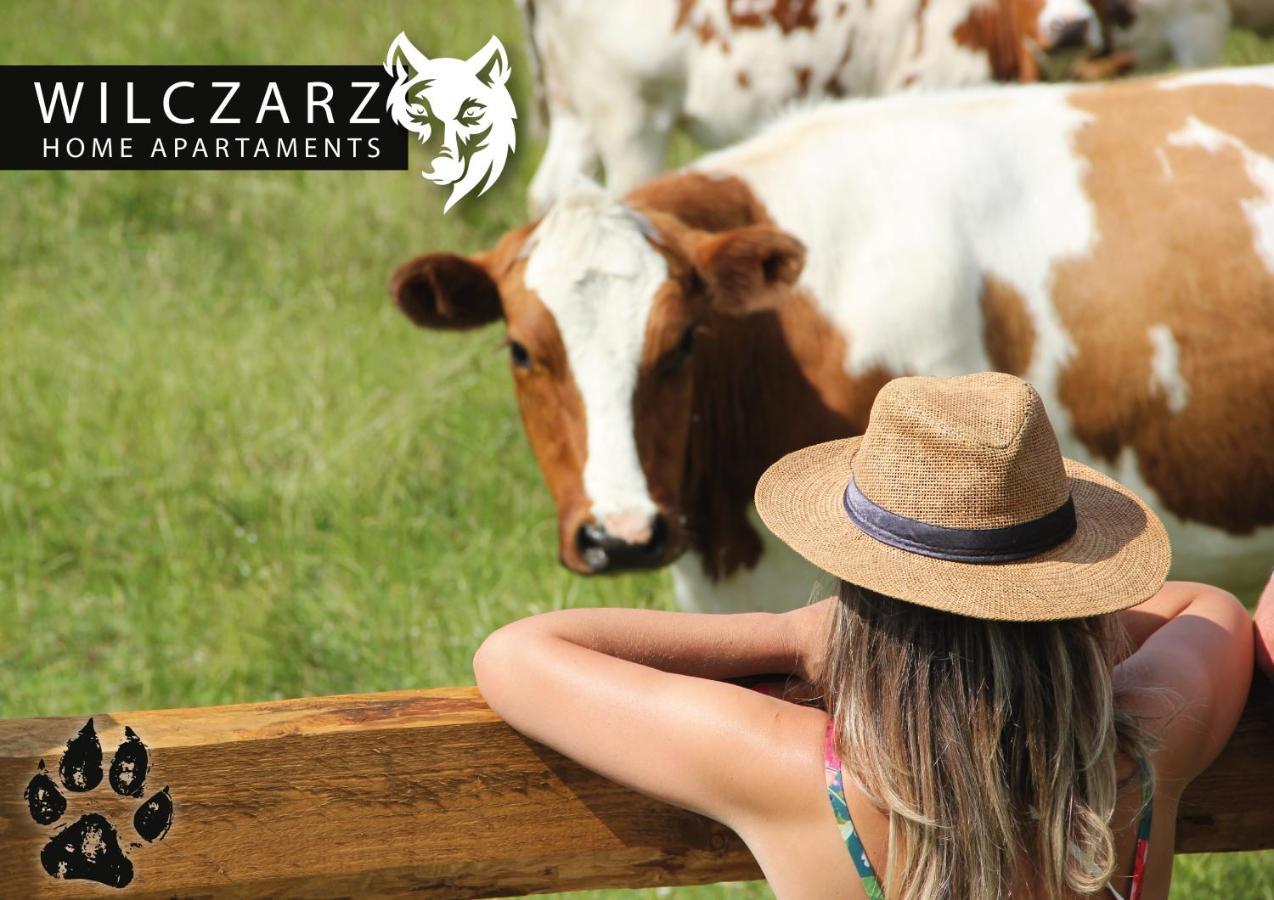 Wilczarz Apartment ดุสนิกิ สดรอย ภายนอก รูปภาพ