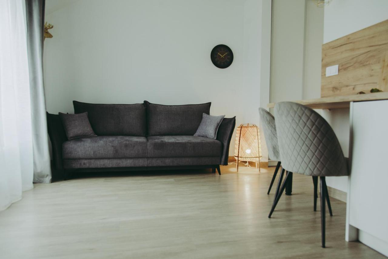 Wilczarz Apartment ดุสนิกิ สดรอย ภายนอก รูปภาพ